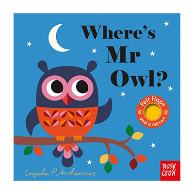 Felt Flaps: Where's is Mr Owl?