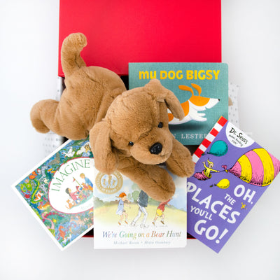 Adventure Time Book Hamper